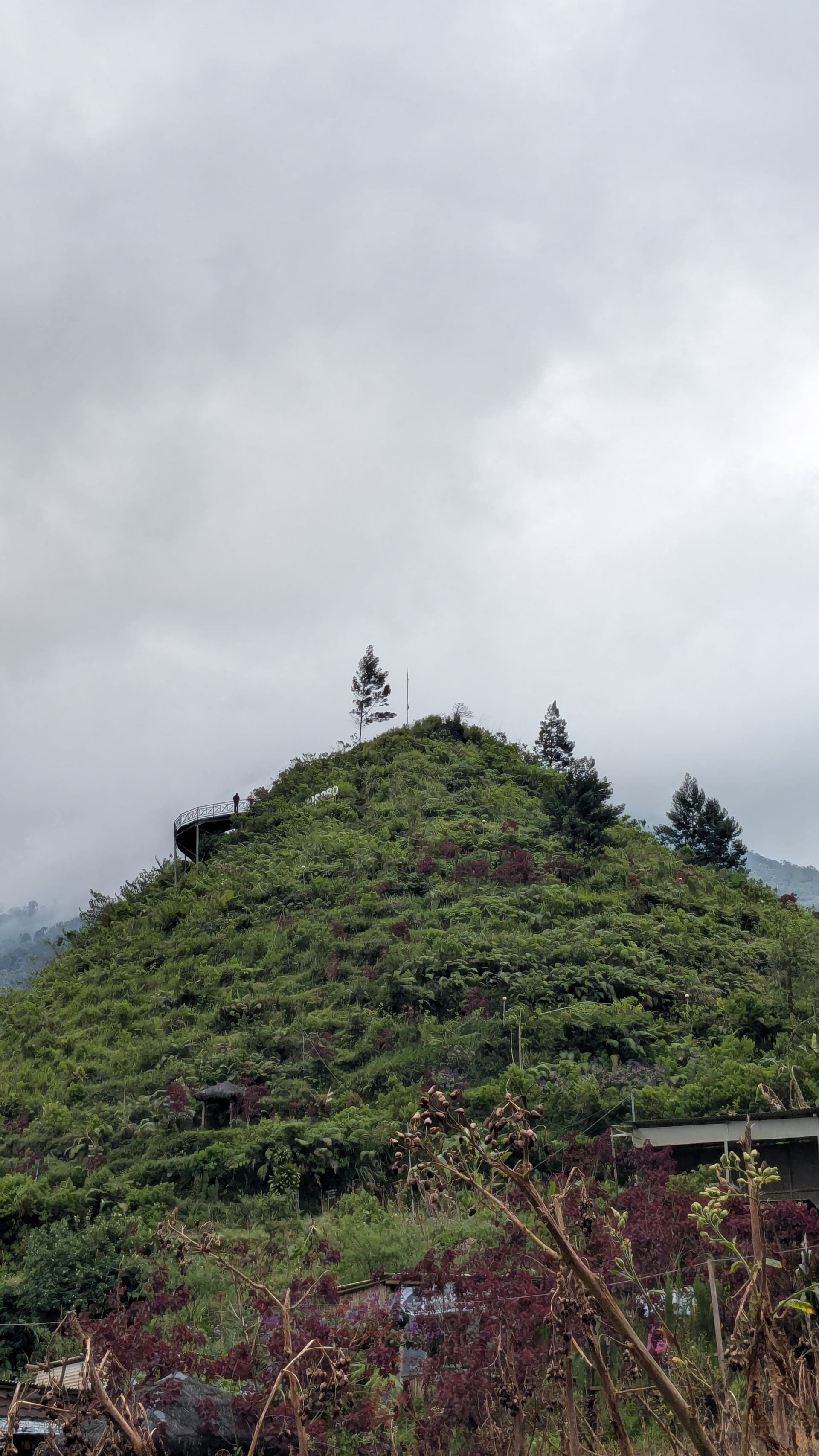 Gunung Cilik , Wonosobo